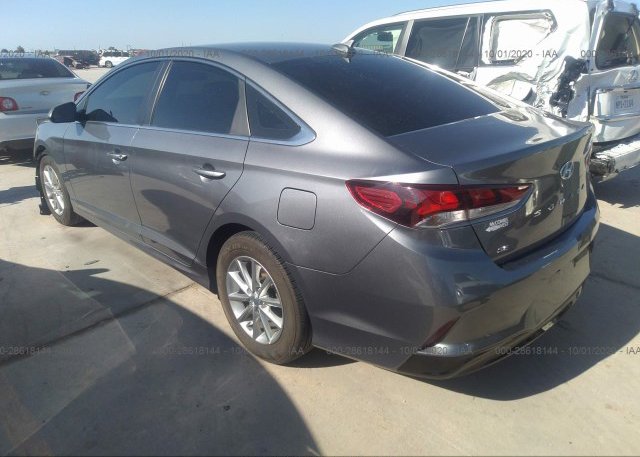 купить 2019 HYUNDAI SONATA 5NPE24AFXKH750764