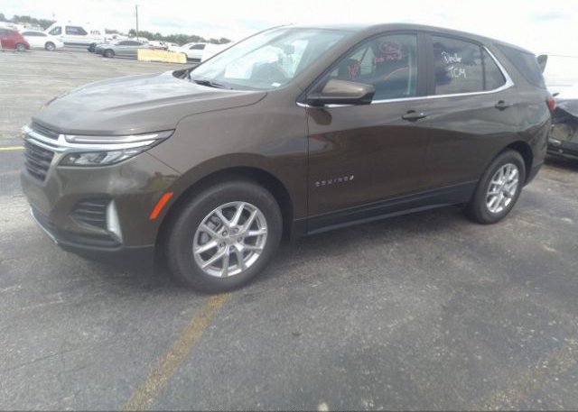 2023 CHEVROLET EQUINOX(VIN: 3GNAXKEGXPL188533