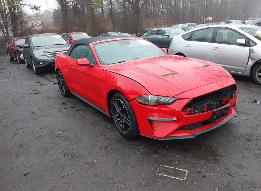 2021 Ford Mustang 2.3L photo