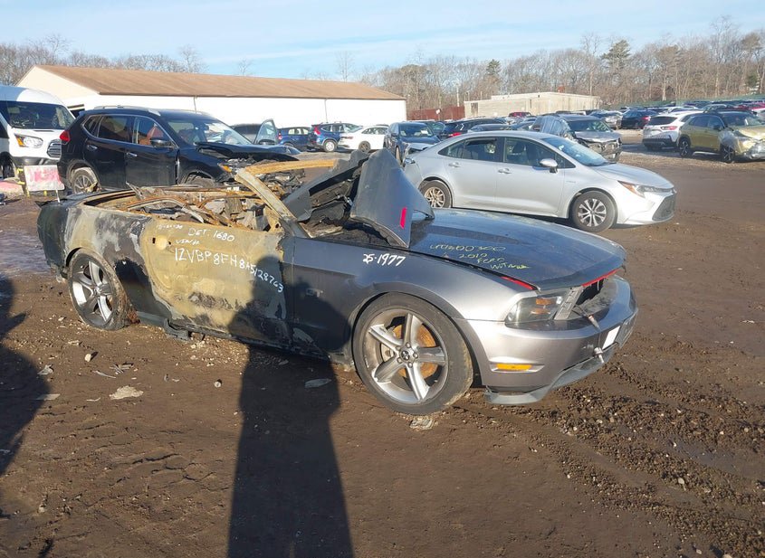 2010 Ford Mustang 4.6L photo
