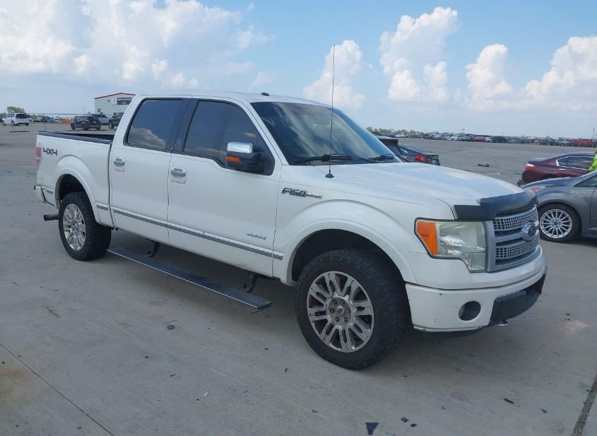 2011 FORD F-150 PLATINUM photo