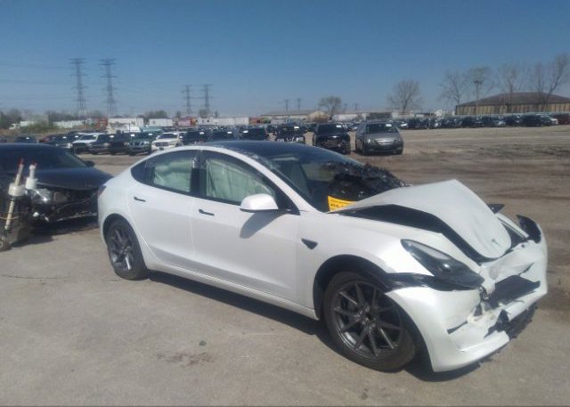 2023 TESLA MODEL 3 (VIN: 5YJ3E1EA9PF544191)