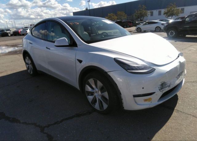 2021 TESLA MODEL Y (VIN: 5YJYGDEEXMF096110)