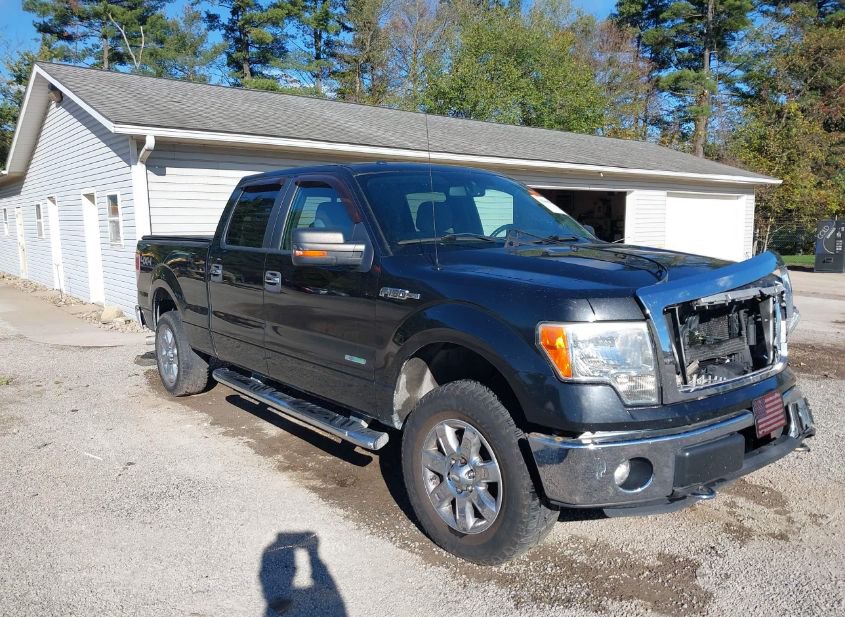 2013 FORD F-150 XLT photo