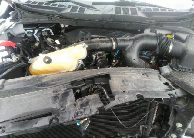 2021 FORD F-150(VIN: 1FTEW1CP6MFB91929