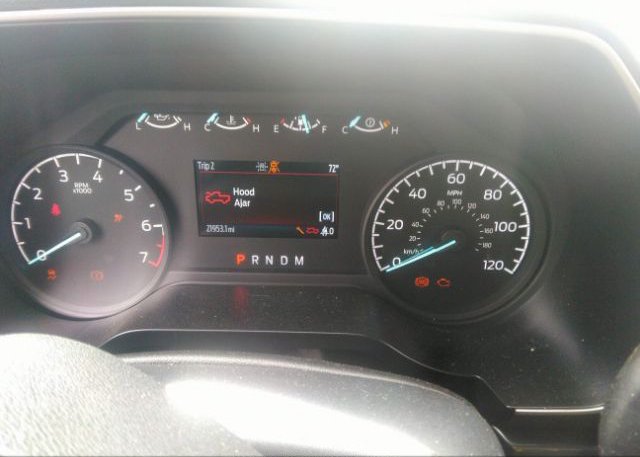 2021 FORD F-150(VIN: 1FTEW1CP6MFB91929