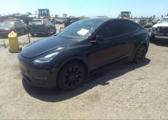 2022 TESLA MODEL Y(VIN: 7SAYGDEE9NF341516