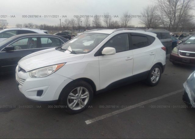 из сша 2011 HYUNDAI TUCSON KM8JUCAC2BU185260