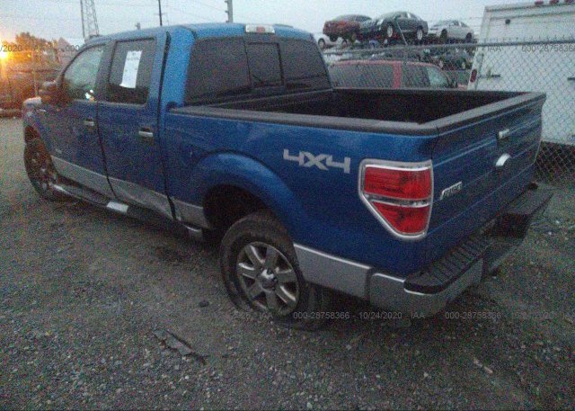 купить 2014 FORD F-150 1FTFW1ET1EFC40535