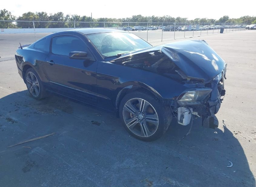 2013 FORD MUSTANG V6 photo