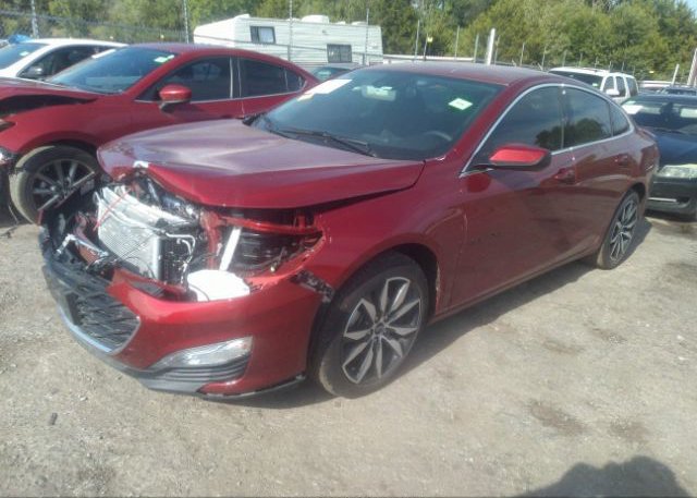 2023 CHEVROLET MALIBU(VIN: 1G1ZG5ST7PF220128