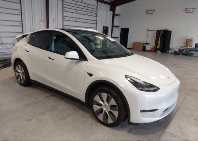 2023 TESLA MODEL Y (VIN: 7SAYGAEE2PF598163)
