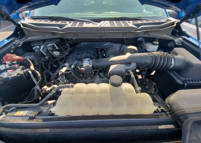 2021 FORD F-150(VIN: 1FTMF1CB9MKD70747