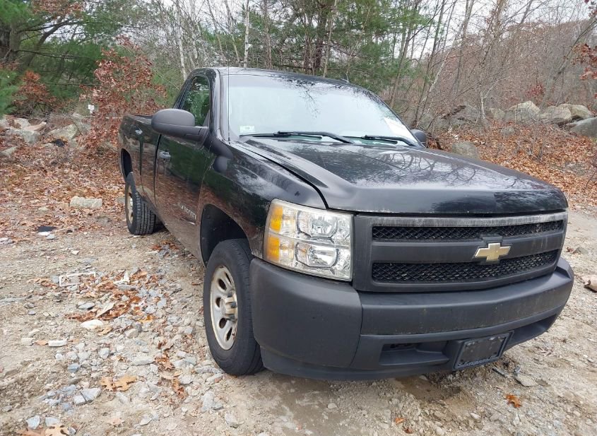2008 CHEVROLET SILVERADO 1500 WORK TRUCK photo
