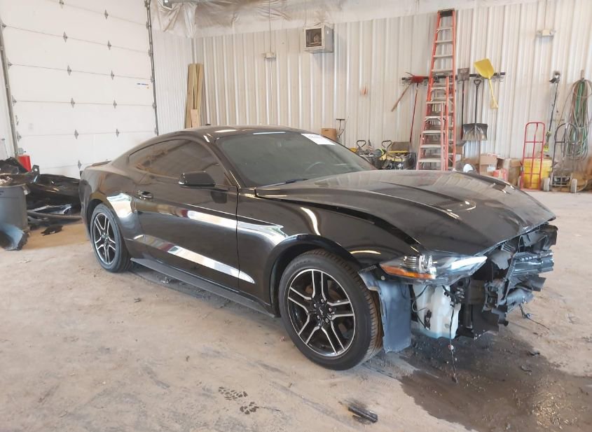 2020 FORD MUSTANG ECOBOOST FASTBACK photo