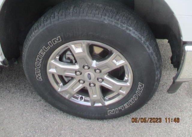 2021 FORD F-150(VIN: 1FTFW1E53MFA73725