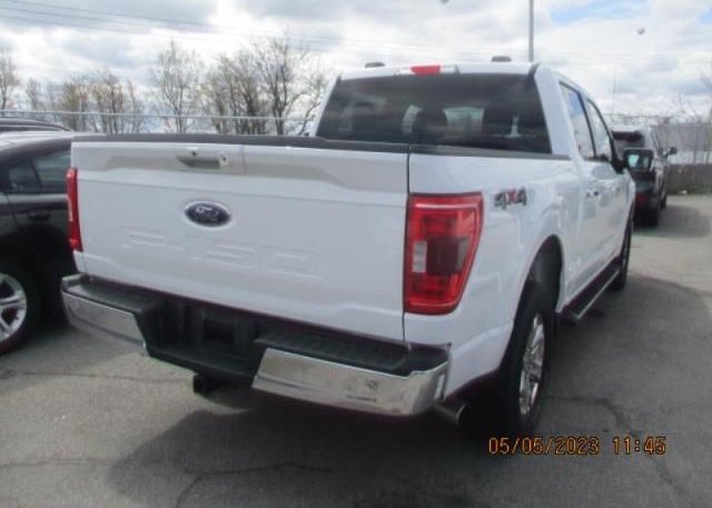 2021 FORD F-150(VIN: 1FTFW1E53MFA73725