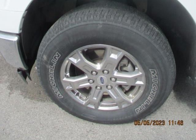 2021 FORD F-150(VIN: 1FTFW1E53MFA73725
