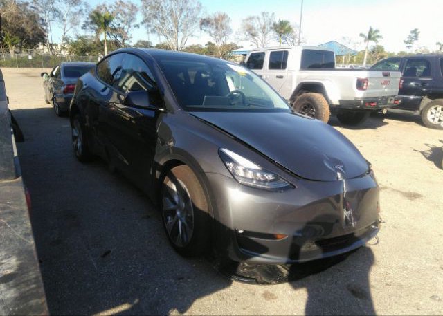 2023 TESLA MODEL Y (VIN: 7SAYGDEEXPF612988)