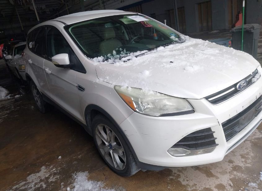 2013 FORD ESCAPE SEL photo