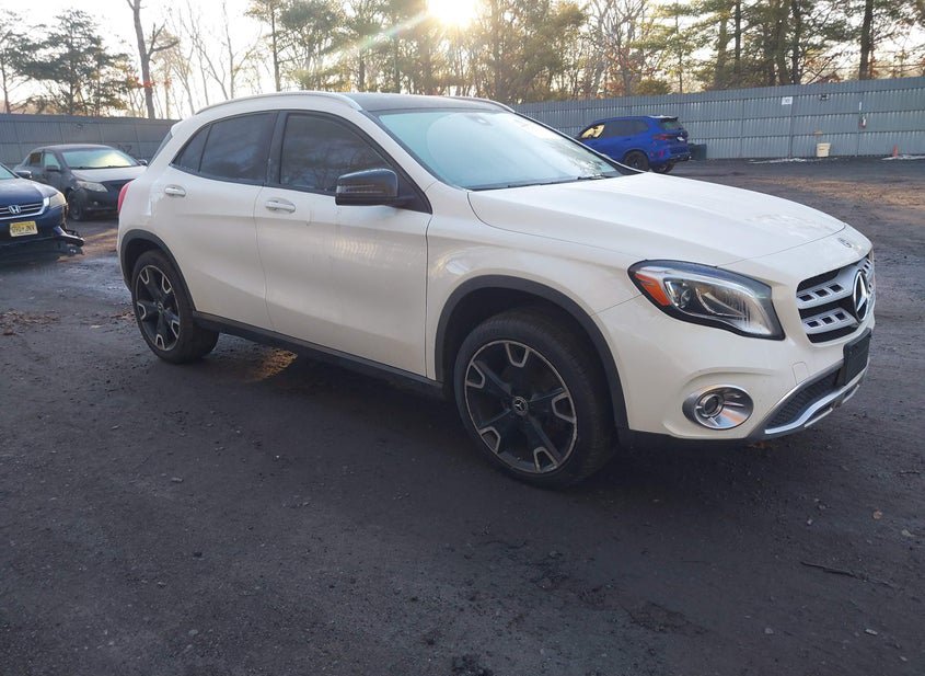 2018 Mercedes-Benz Gla 250 2.0L photo