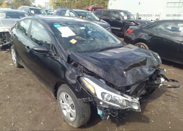 3KPFK4A72HE123115 2017 KIA FORTE