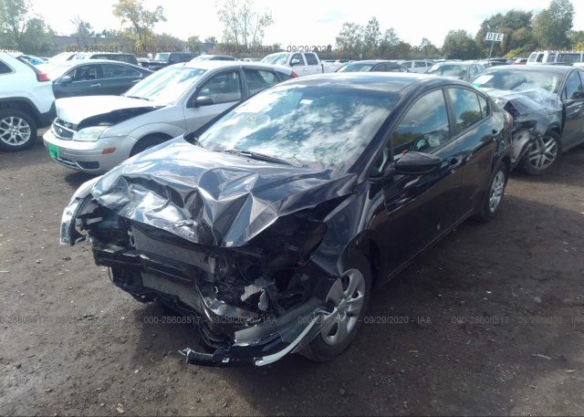 из сша 2017 KIA FORTE 3KPFK4A72HE123115