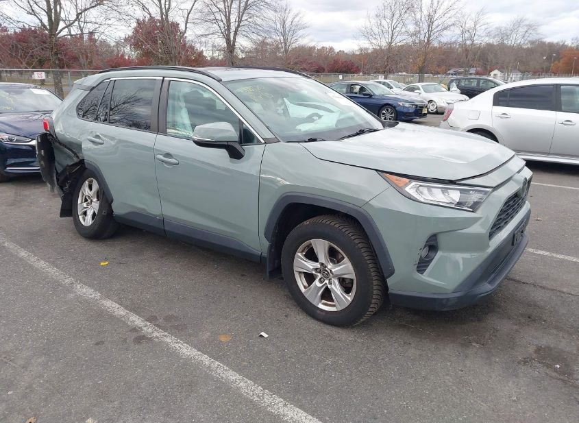 2019 TOYOTA RAV4 XLE photo