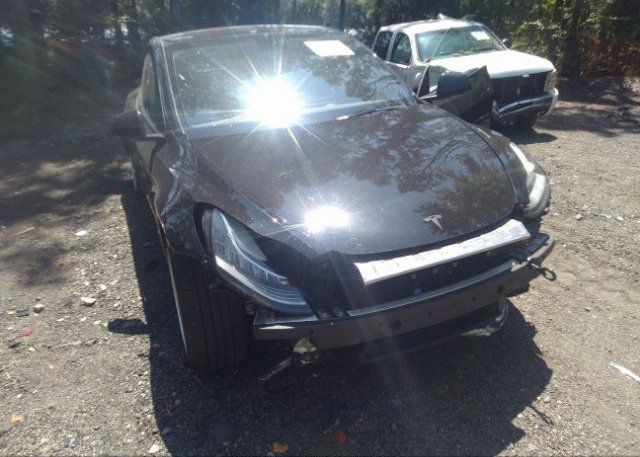 2022 TESLA MODEL Y(VIN: 7SAYGDEE7NA005036