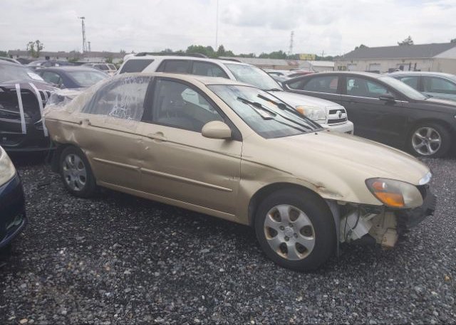 KNAFE221X95660928 2009 KIA SPECTRA