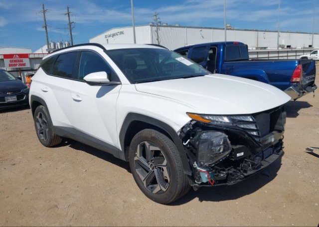 KM8JBDD20RU177375 2024 HYUNDAI TUCSON PLUG-IN HYBRID
