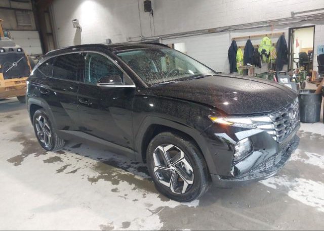 KM8JFDD23RU159702 2024 HYUNDAI TUCSON PLUG-IN HYBRID