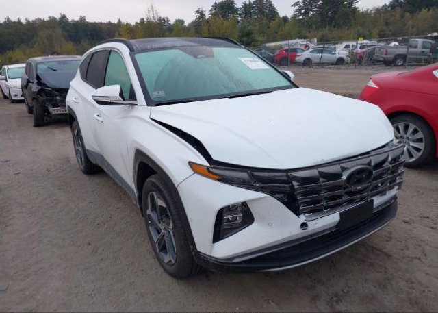 KM8JFDA24PU133000 2023 HYUNDAI TUCSON PLUG-IN HYBRID