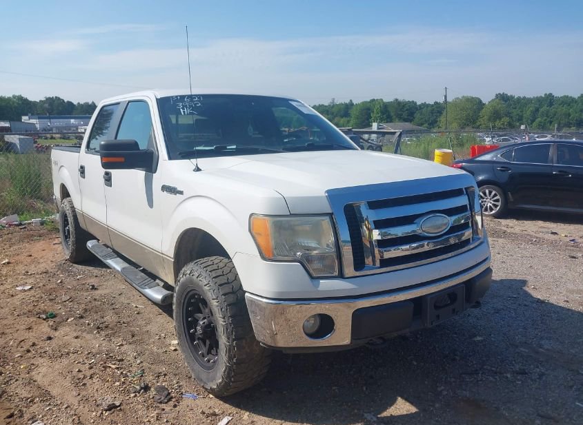 2009 FORD F-150 FX4/KING RANCH/LARIAT/PLATINUM/XL/XLT photo