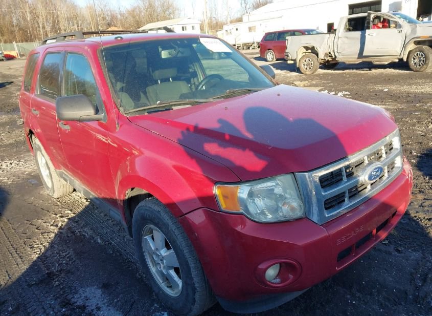 2010 FORD ESCAPE XLT photo