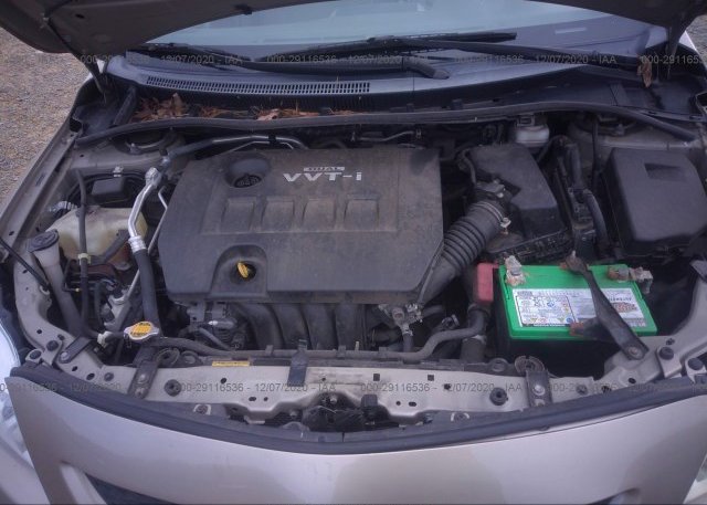 2T1BU4EE5AC531680 2010 TOYOTA COROLLA