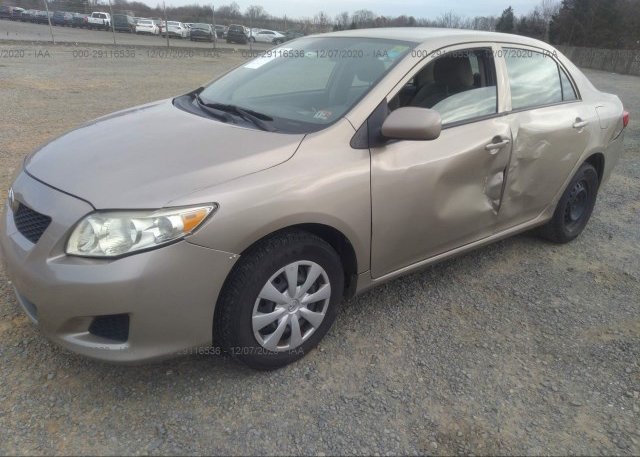 из сша 2010 TOYOTA COROLLA 2T1BU4EE5AC531680