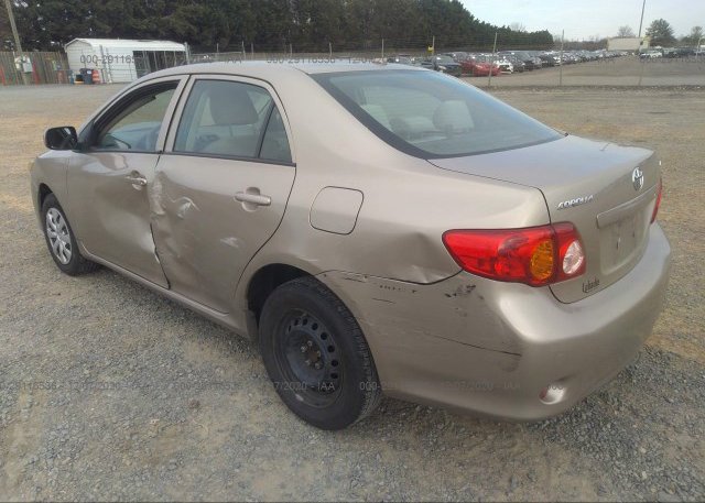 купить 2010 TOYOTA COROLLA 2T1BU4EE5AC531680