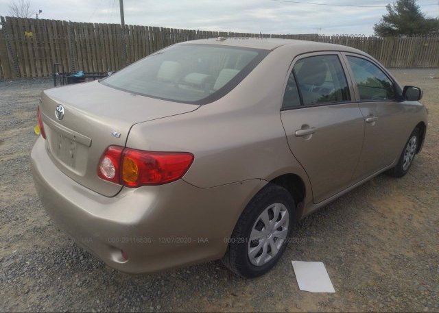 цена в сша 2010 TOYOTA COROLLA 2T1BU4EE5AC531680