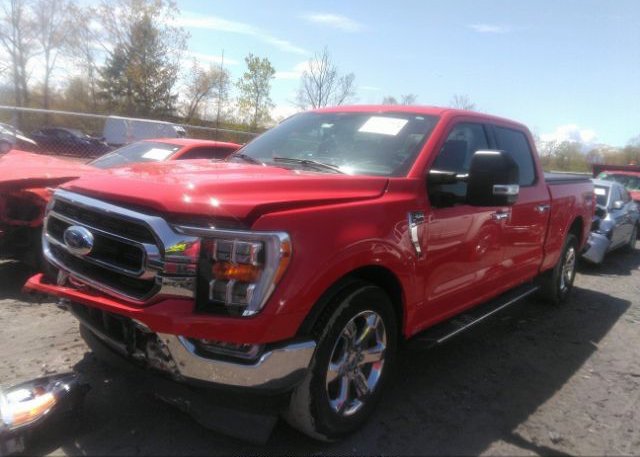2021 FORD F-150(VIN: 1FTFW1E81MKD93983