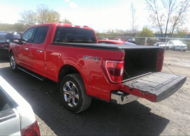 2021 FORD F-150(VIN: 1FTFW1E81MKD93983