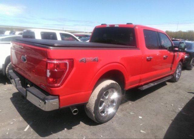 2021 FORD F-150(VIN: 1FTFW1E81MKD93983