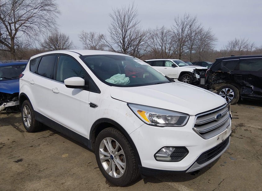 2019 Ford Escape 1.5L photo