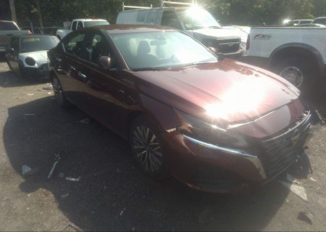 2023 NISSAN ALTIMA (VIN: 1N4BL4DV4PN359352)