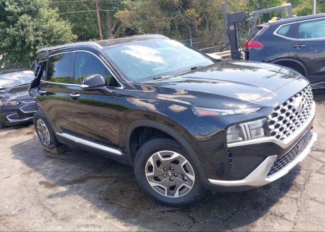 KM8S2DA19MU012661 2021 HYUNDAI SANTA FE HYBRID