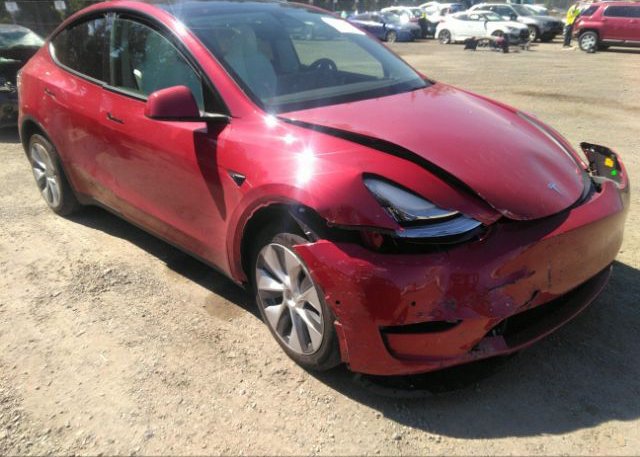 2022 TESLA MODEL Y (VIN: 7SAYGAEE8NF490739)