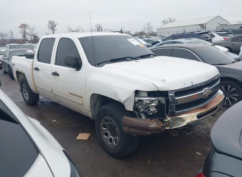 2010 CHEVROLET SILVERADO 1500 LS photo