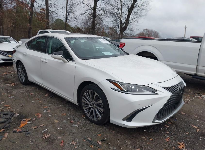 2020 LEXUS ES 350 photo