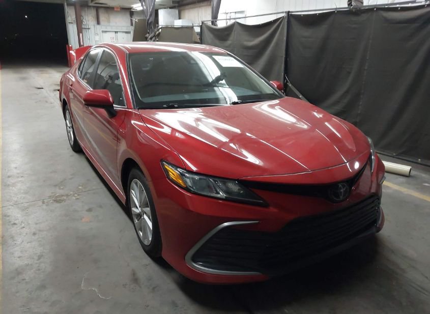 2023 TOYOTA CAMRY LE photo