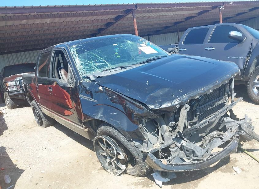 2011 FORD F-150 PLATINUM photo